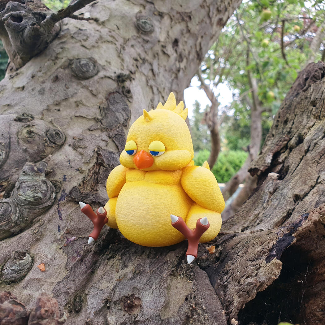 Fat Chocobo - 2024