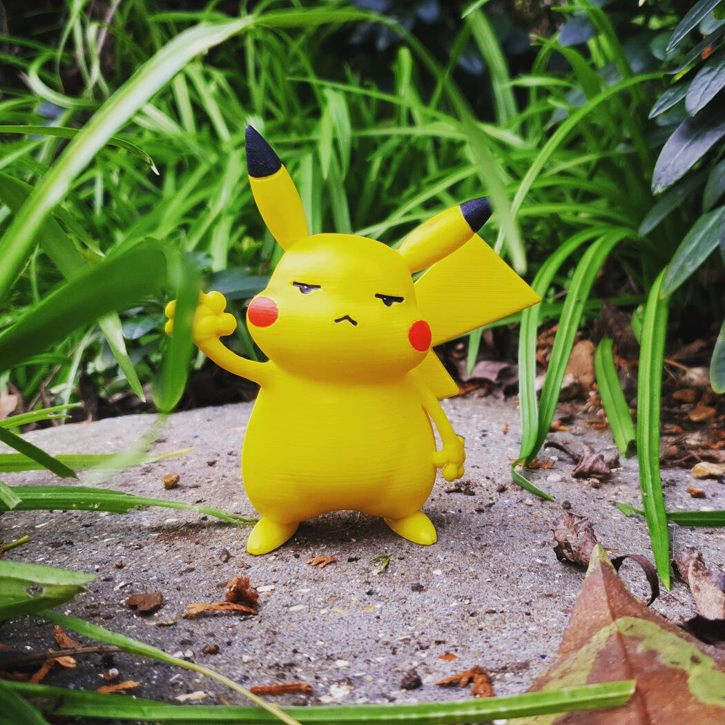 pikachu - 2021